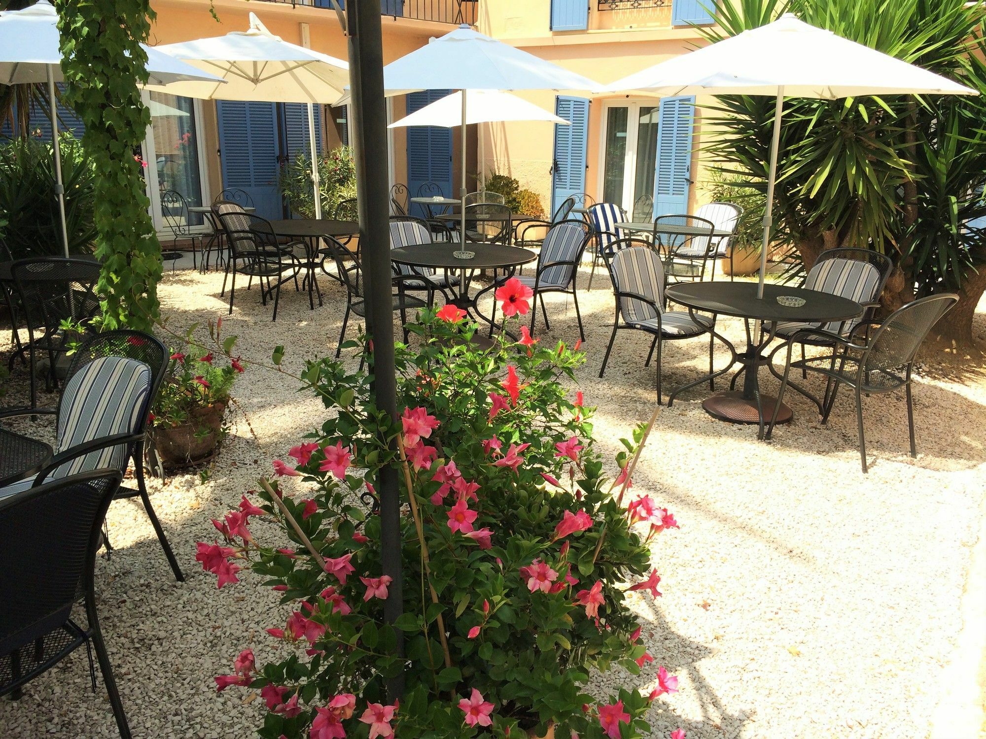 Hotel L'Olivier - Piscine & Parking Κάννες Εξωτερικό φωτογραφία